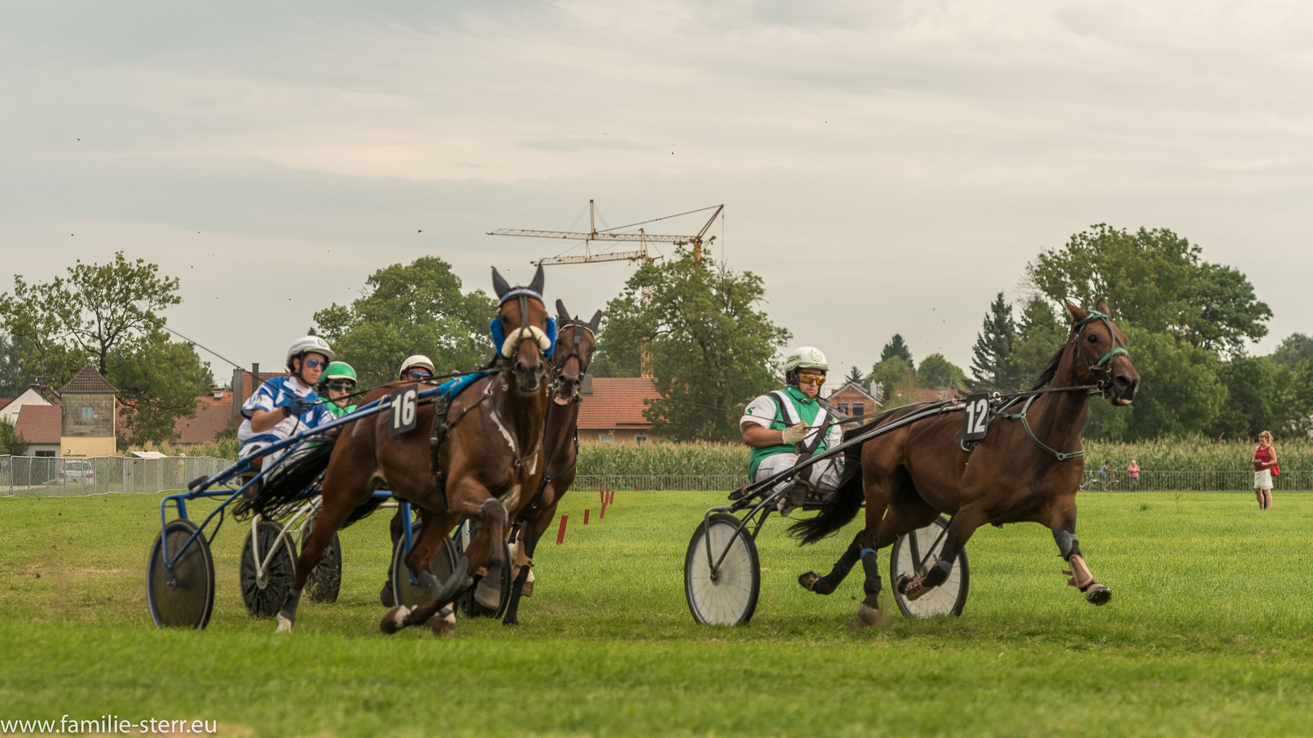 Trabrennen in Erding 2017